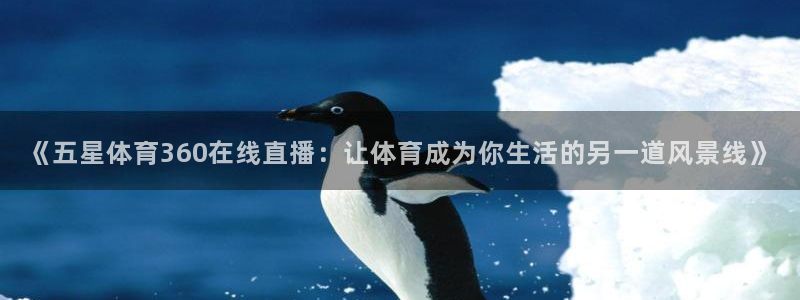 qy球友会体育官网：《五星体育360在线直播：让体育成为你生活的另一道风景线》