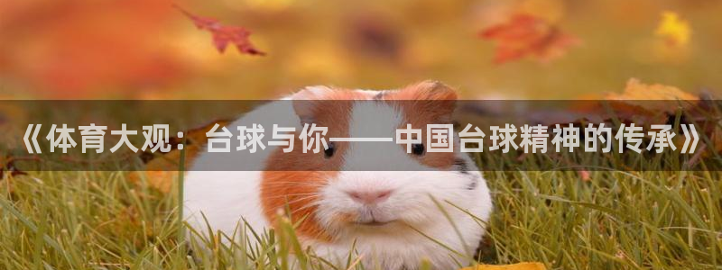 qy球友会体育官网：《体育大观：台球与你——中国台球精神的传承》