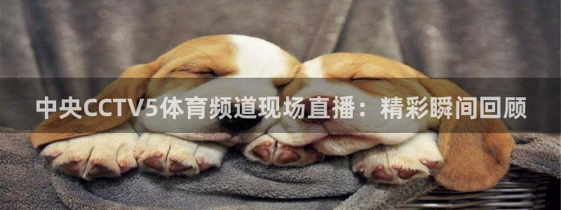 球友直播在线直播：中央CCTV5体育频道现场直播：精彩瞬间回顾