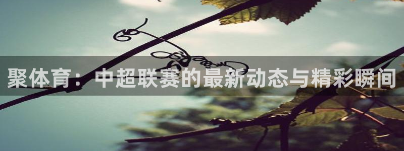 nba直播球友：聚体育：中超联赛的最新动态与精彩瞬间